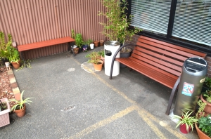DSC_0014 - コピー (2).JPG